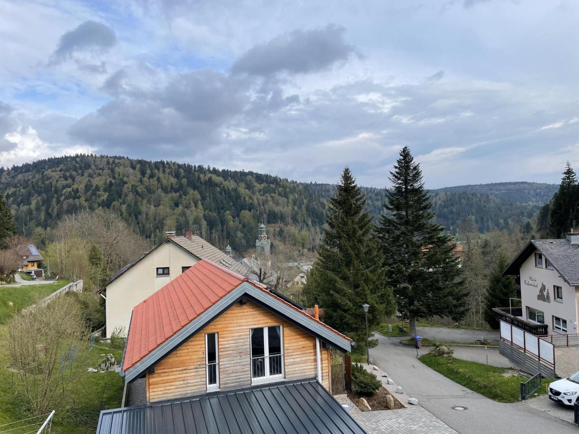 Traumferienwohnung Todtmoos - Appartment Mit Schoenem Wintergarten Luaran gambar